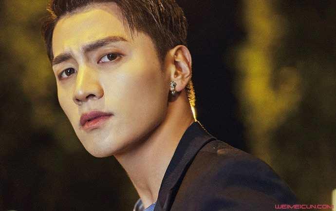 金泽资料,探寻历史与现代交融的日本文化瑰宝