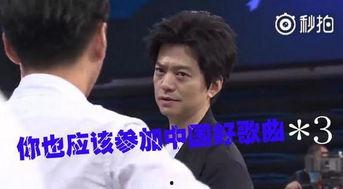 参加中国好歌曲的明星