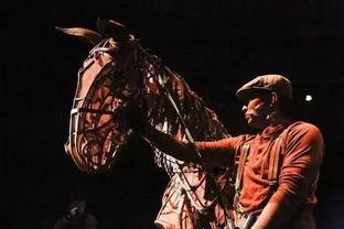 战马的演员,群星闪耀的荣耀战场