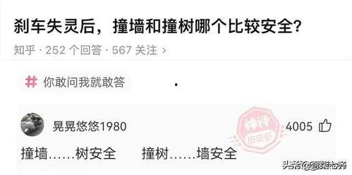 做菜搞笑神评,做菜搞笑神评大盘点