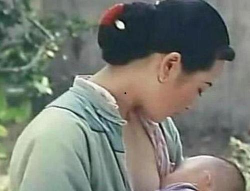 许晴哺乳照片,母爱光辉照亮娱乐圈