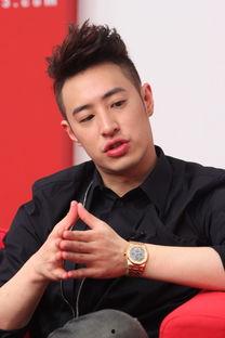 潘玮柏 娱乐,娱乐界的动感舞者，音乐与舞台的完美融合